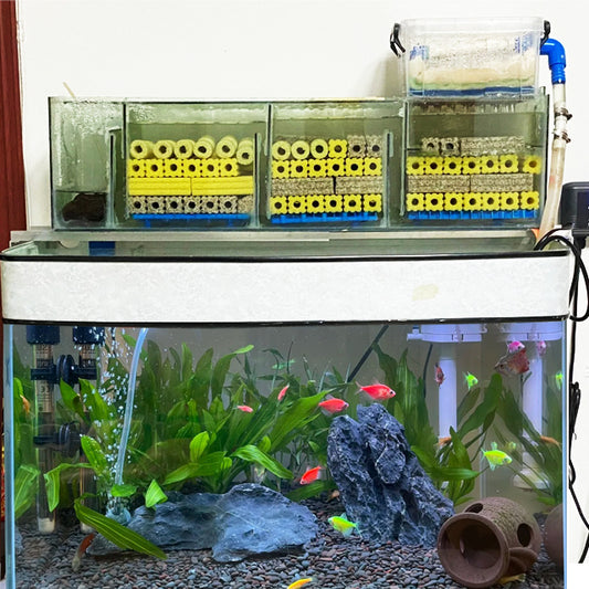 Top 5 Aquarium Filter Media for Fishkeeping Enthusiasts