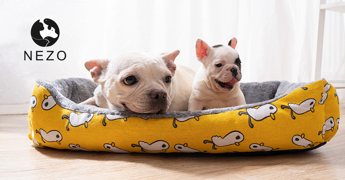 How to Pick the Perfect Budget-Friendly Disposable Dog Pee Pad