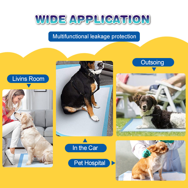 Dog and Puppy Training Pads, 150 Count Absorbent Dog Pee Potty Training Pads