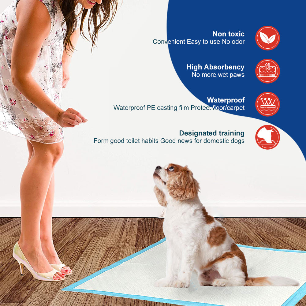 Nezo 34 x 46 inch Pee Pads with 6 Layer Leak-Proof and Super Absorbent 30/120count