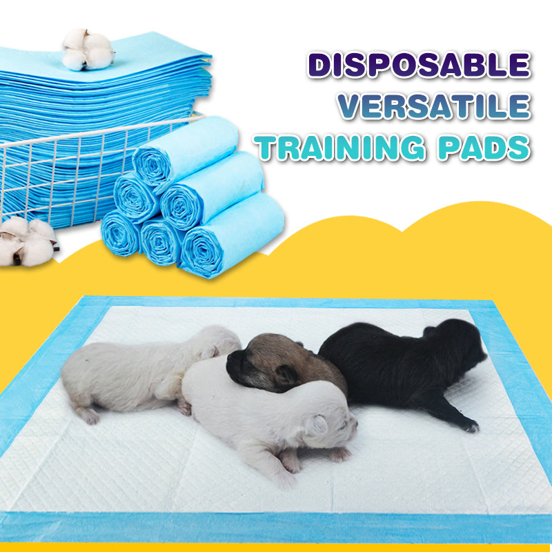 Dog and Puppy Training Pads, 150 Count Absorbent Dog Pee Potty Training Pads