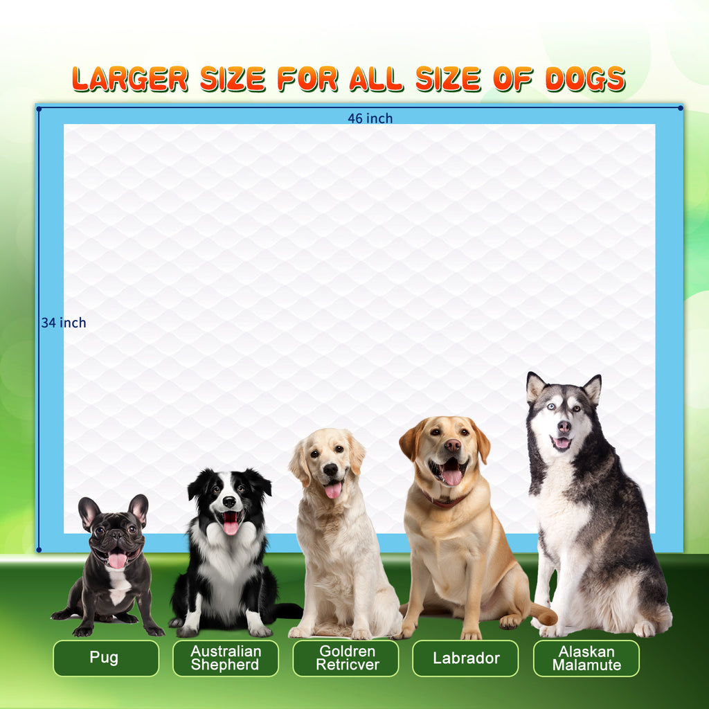 Nezo 34 x 46 inch Pee Pads with 6 Layer Leak-Proof and Super Absorbent 30/120count